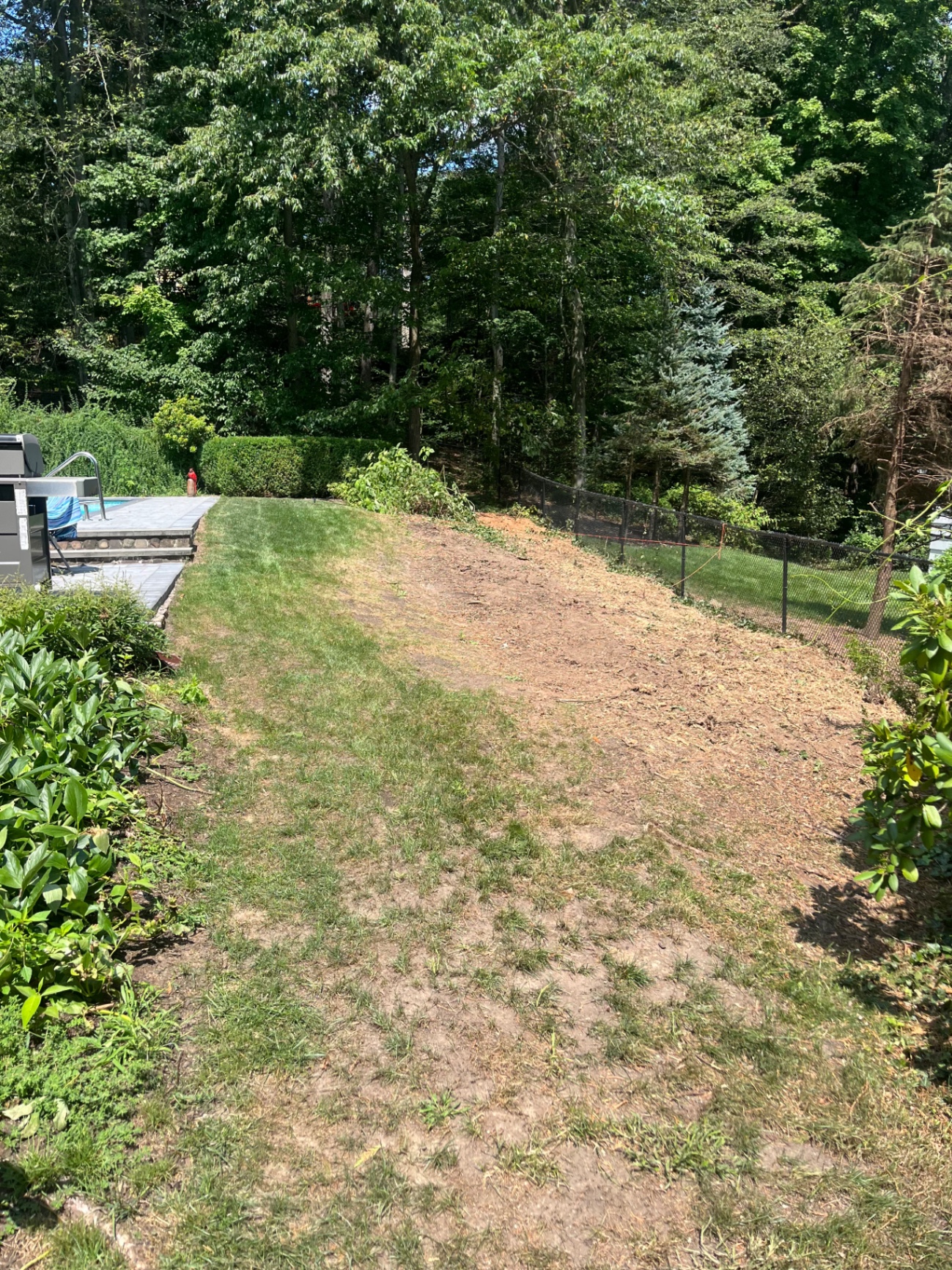 Before photo of a dry side yard with sparse grass near a pool deck.